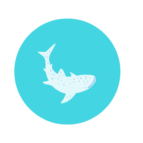 Whaleshark Logo